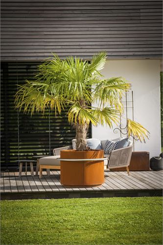 Pflanzgefäße, Pflanzentöpfe & Pflanzenkübel aus Metall für Haus und Garten