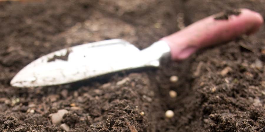 Gartenerde für Ihr Hochbeet aus Cortenstahl