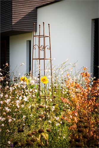 Perfekt gerosteter Rankobelisk. 