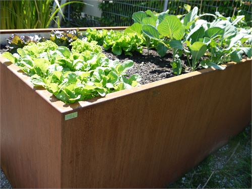 Stabiles Gemüsebeet aus Cortenstahl.