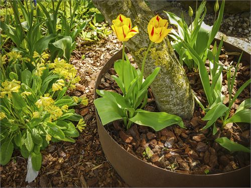 Formschöne und stabile Beeteinfassung.