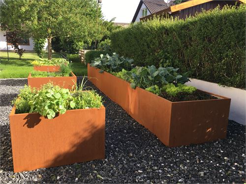 Gemüsebeete elegant und wunderschön.